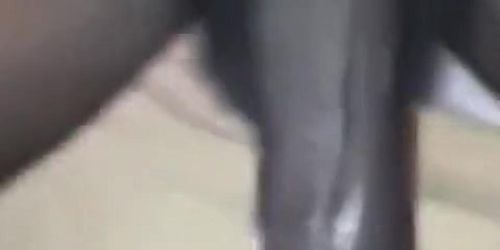 She asked me to put my cock inside her pacing pussy (Good head)