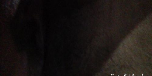sri lankan new leak , fingering & fucking , don't miss guys....