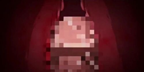 JAV PMV????3D