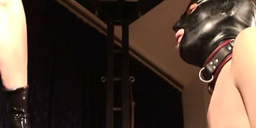 Mistress Silvia trains slave to suck cock and eat cum