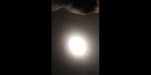 BLACK EBONY BEST PORN OF THE YEAR COMPILATION WITH NO CAPTIONS 02 ( BLACK ONLYFANS )