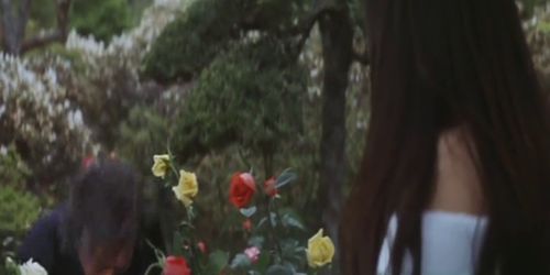 Flower and Snake - video 1