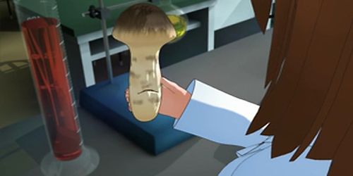 3D-teen Strange Mushroom Insertion