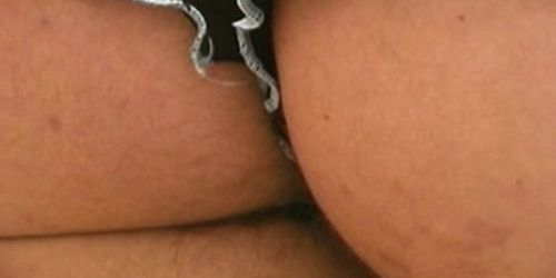 hairy, lactating and toy