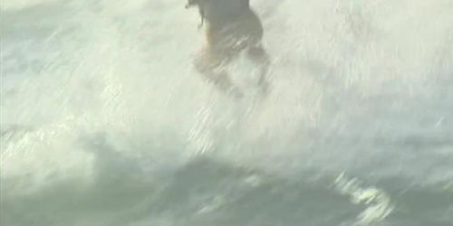 Surf Fuckers - Elena Nikulina