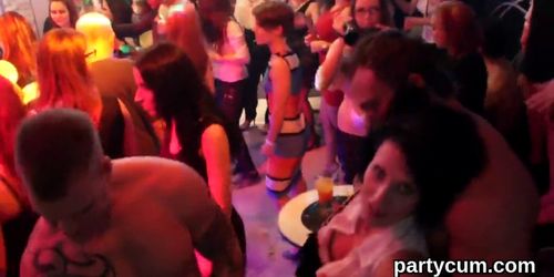 Sexy kittens get entirely silly and naked at hardcore party