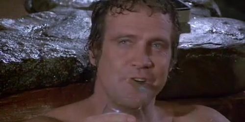 K.C. Winkler Bikini Scene  in The Fall Guy