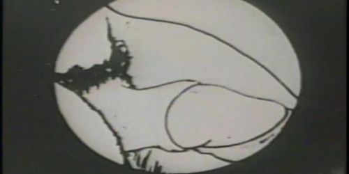 500px x 250px - Vintage porn toon featuring the sex adventures of Eveready - Tnaflix.com