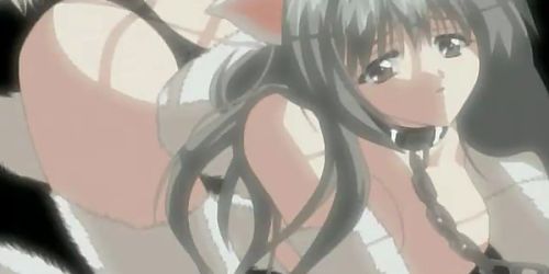 Wild Sexy Punishment