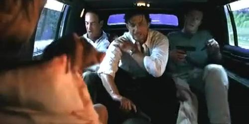 Brenda Bakke Breasts Scene  in Shelter