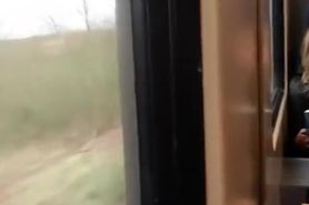 Dude wanks his dick in train