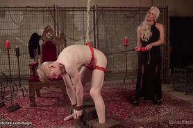 Femdom with cattle prod tazappers man