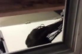 Neighbor secretly filmed through the window