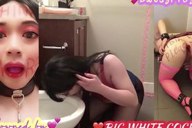 DaisyFToy - Toilet Licking Wonder Fagpig