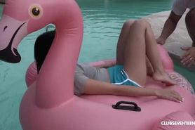 Feel my Flamingo