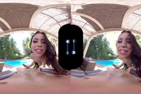 Compilation Of Horny Hotties Getting Banged By the Pool POV