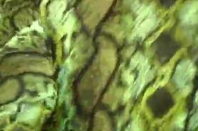 Green snake spandex Magdi