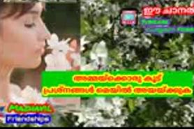 Kambi kadha
