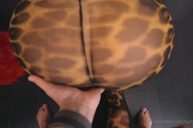 Big Ass Richelle Hardcore POV Sex