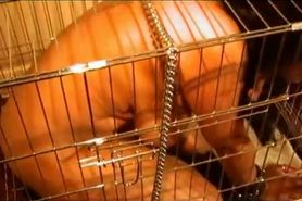 Danica Collins is a caged Pet