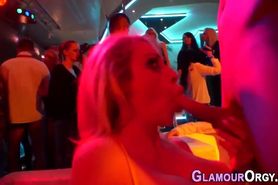 Glam babes riding dick