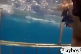 Sexy hot babes swimming with the shark and like snowboarding