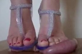 jelly sandals shoejob