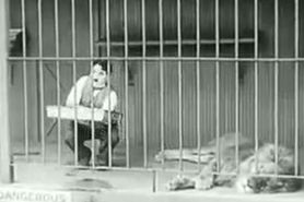 Chaplin lion, rob