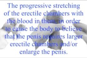 Penis Enlargement Methods