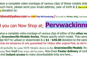 The 88th  Web Models of Granniesville (Promo)