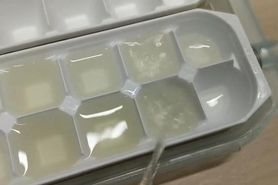 Piss into ice tray