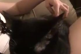 cute maid petting pet cat after good fucks