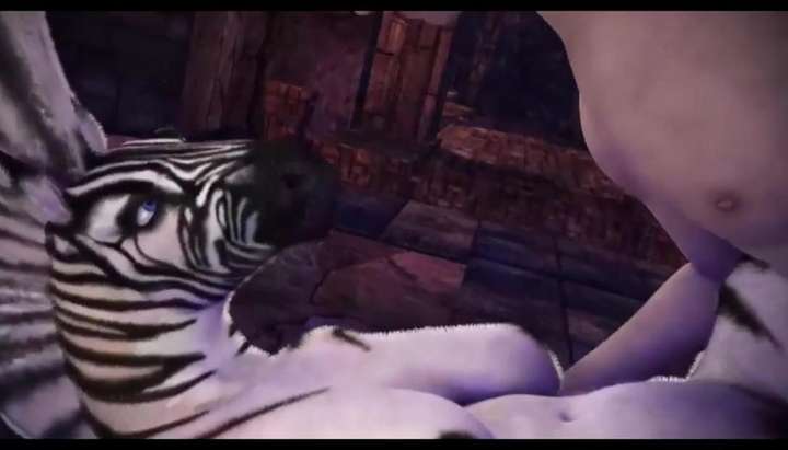 Female Zebra Anthro Porn Female - ZEBRA LADY COMPILATION (Straight Furry Yiff) {SFM} - Tnaflix.com