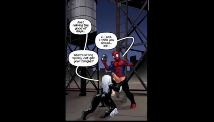Spider Man Animated Porn - The Nuptials of Spider-Man and Black Cat- Comic Dub - Tnaflix.com