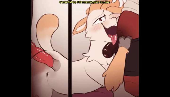 Gay Animated Porn - Gay Animated Furry Porn Compilation: Damn I made a lot of these XD -  Tnaflix.com