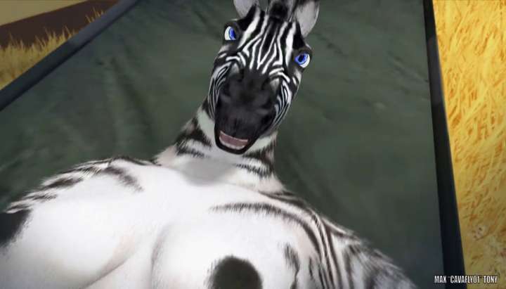 Furry Zebra Porn | Sex Pictures Pass