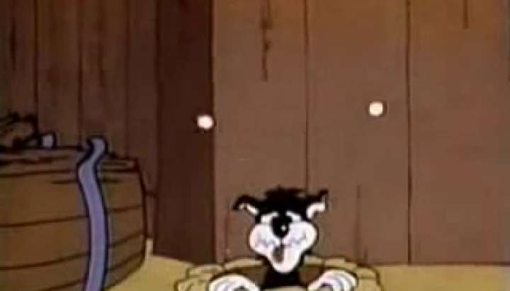 720px x 411px - Tom and Jerry honeymoon TNAFlix Porn Videos