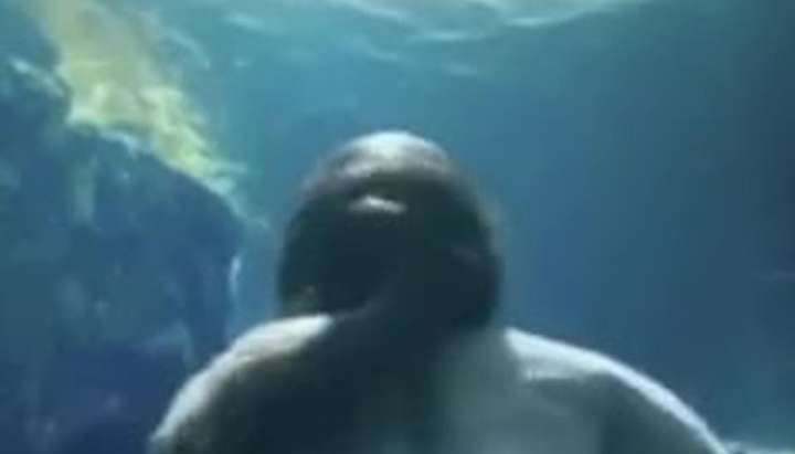 Susan Park's Nude Underwater Swim in Snowpiercer - Tnaflix.com