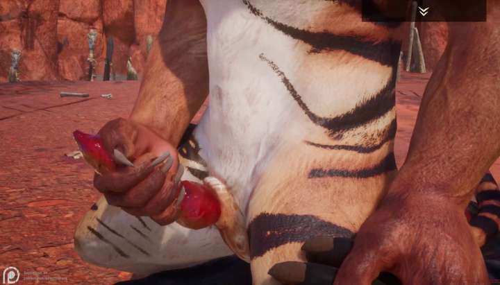 Gay Furry Porn - Tiger and Minotaur. Soft sex, cum (Wild Life game) -  Tnaflix.com