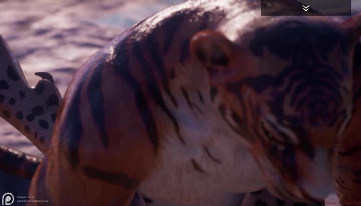 720px x 411px - Furry Porn - Tiger and Leopard. Sex and cum (Wild Life game) TNAFlix Porn  Videos