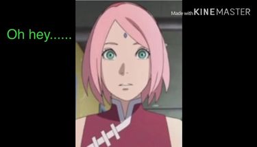 Sakura x Hinata 