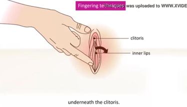 How To Finger A Girl Porn