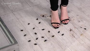 High Heels Crush Bug Sex