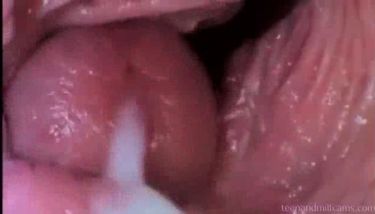 Inside Of A Pussy