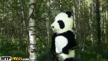 Panda xxx videos