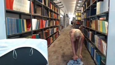 Porn Public Library
