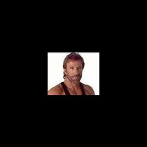 evselektro