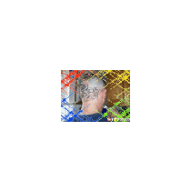 jimmythedeigo