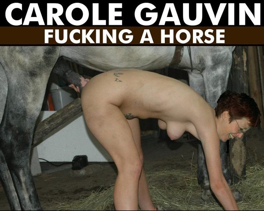 Horsesexwhores