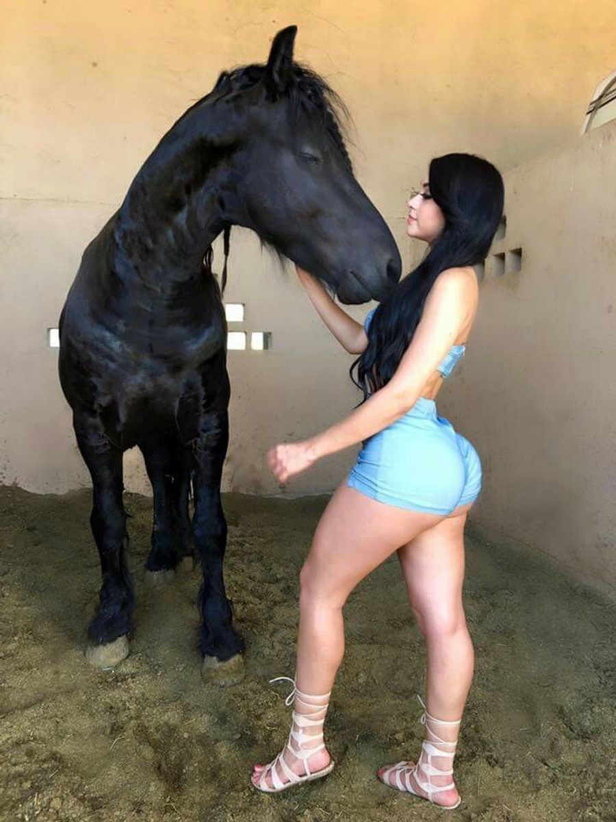 Cuming in horse